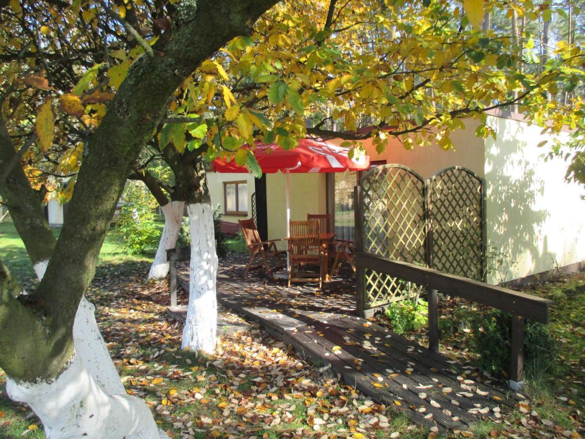 Ow Mikomania Charzykowy Exterior photo